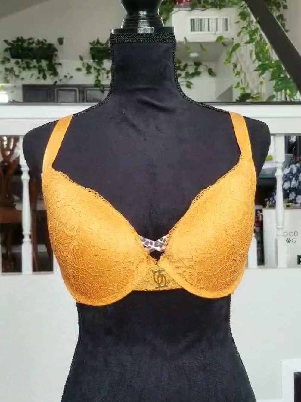 34DD - Bebe Mustard Yellow Lace Underwire Bra with Leopard Trim